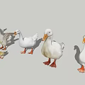 Animal Goose Duck Poultry 3d model