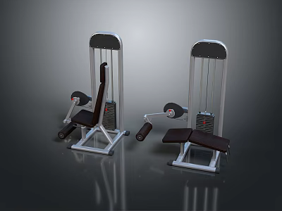 Fitness Exercise Equipment With Silver Metal Frames Brown Seats And Black Weight Plates 3d model