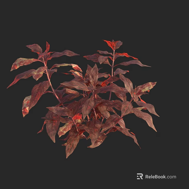 Vibrant Red Brown Foliage With Lush Leaves And Branch Details For Garden Landscaping 3d model 