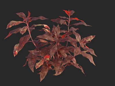 Vibrant Red Brown Foliage With Lush Leaves And Branch Details For Garden Landscaping 3d model