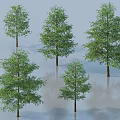 Multiple Trees With Green Leaves And Brown Trunks On Gray Background 3d model