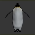 Emperor Penguin Standing With Black Head Yellow Neck White Body On Gray Background