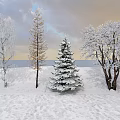 Winter Snowy Landscape With Various Types Of Trees Covered In Snow