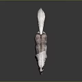 3D Rendered Standing Horse With Long White Mane Gray White Body And White Hooves
