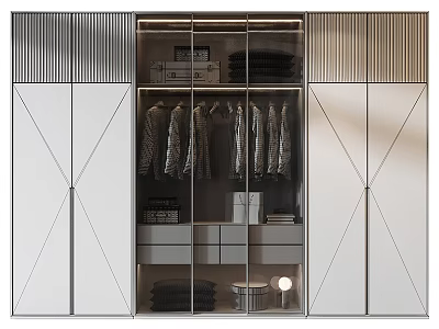 Modern Wardrobe Interior Design With Glass Doors Hanging Clothes And Storage Drawers 3d model