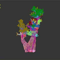 Decorative Indoor Plant With Forked Wooden Trunk Green Leaves And Purple Flowers