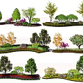 Diverse Plant Combinations with Trees Shrubs Flowers and Stones for Garden Landscaping