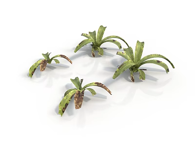Green Decorative Plants with Brown Spots on Leaves and Different Sizes 3d model