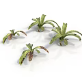 Green Decorative Plants with Brown Spots on Leaves and Different Sizes