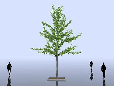 Arbor With Green Leaves And Square Base In Light Blue Background With People Walking 3d model
