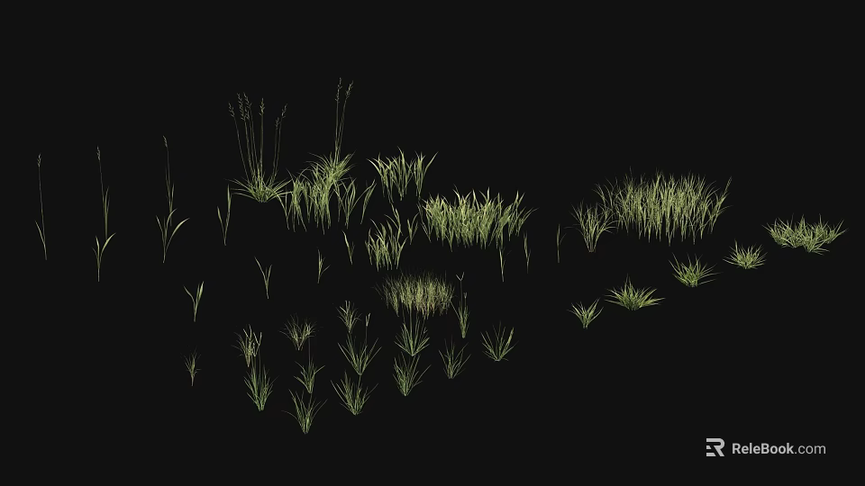 Various Green Grass Types In Natural Growth Patterns Against Black Background 3d model 