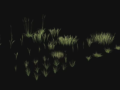 Various Green Grass Types In Natural Growth Patterns Against Black Background 3d model