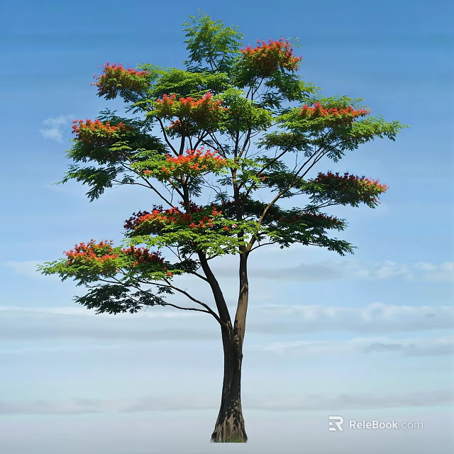 Tall Arbor With Green Leaves And Red Flowers Against Blue Sky And White Clouds 3d model 