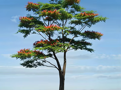 Tall Arbor With Green Leaves And Red Flowers Against Blue Sky And White Clouds 3d model