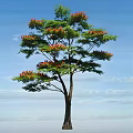Tall Arbor With Green Leaves And Red Flowers Against Blue Sky And White Clouds