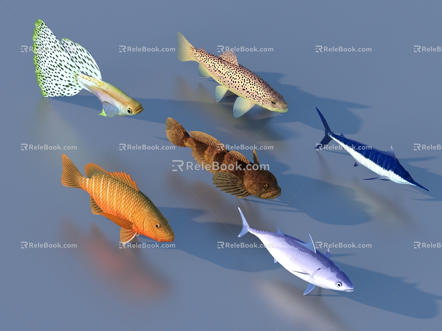 goldfish ornamental fish pet fish koi carp 3d model