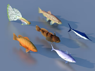 Vibrant Aquatic Fish Species With Diverse Colors Patterns And Shapes In Water 3d model