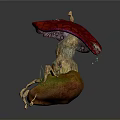 Mushroom Shaped Plant Structure with Small House Door Vines and Mossy Natural Decoration