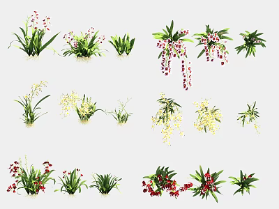 Colorful Flowers And Plants With Pink White Orchids Yellow Blooms Red Berries And Green Leaves 3d model