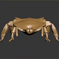 Golden Aquatic Crab With Shiny Surface And Detailed Texture On Dark Background