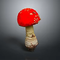Vibrant Red Mushroom With White Spots Isolated On Grey Background Macro View