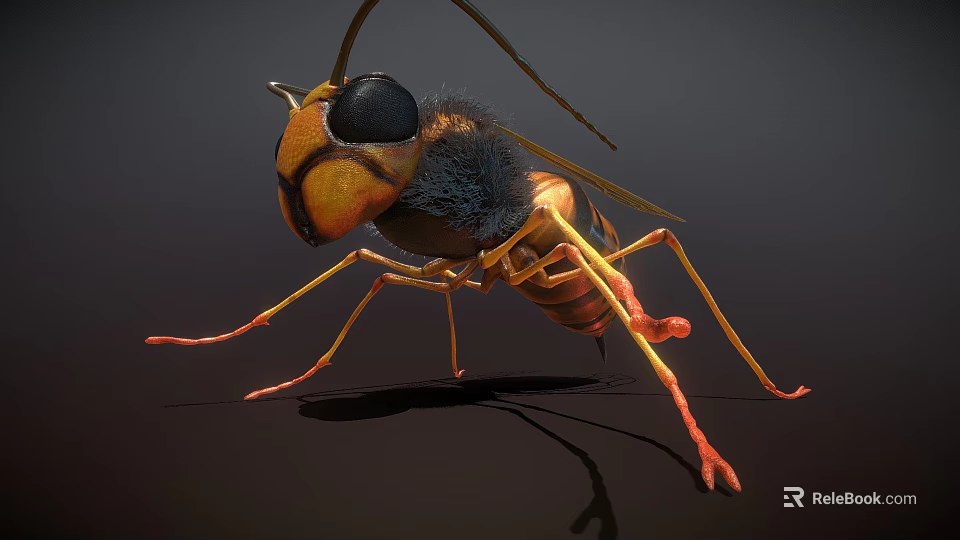 Detailed Wasp Insect With Compound Eyes Antennae And Yellow Black Stripes On Dark Background 3d model 