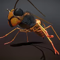 Detailed Wasp Insect With Compound Eyes Antennae And Yellow Black Stripes On Dark Background