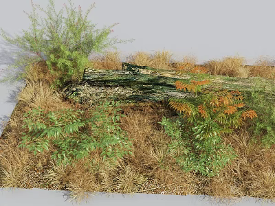Diverse Shrubs With Green And Orange Foliage Growing Among Dry Grass And Fallen Logs 3d model