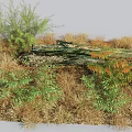 Diverse Shrubs With Green And Orange Foliage Growing Among Dry Grass And Fallen Logs