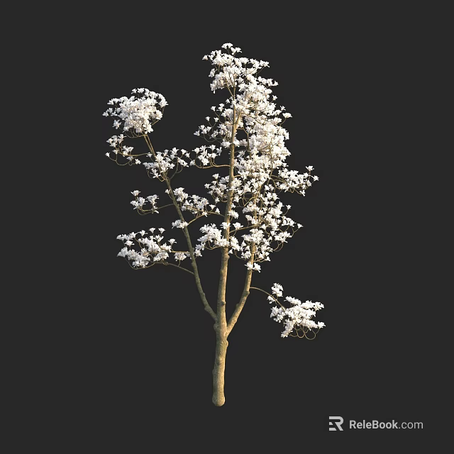 Tall Arbor with White Flowers and Brown Trunk Against Black Background 3d model 