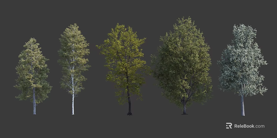 Different Arbor Tree Varieties With Diverse Leaf Colors And Trunk Features 3d model