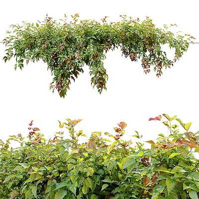 Shower Sauna Design With Lush Green Plants And Serene Vibes 3d model Shower Sauna Design With Lush Green Plants And Serene Vibes 3d model