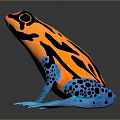 Vibrant Orange Black and Blue Patterned Frog with Colorful Body and Blue Legs
