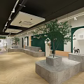 Mall Shop Interior Design With Hanging Green Plants White Green Walls Wooden Flooring And Counter