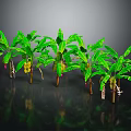 Fresh Ripe Bananas Growing On Green Leaf Banana Trees With Reflections On Black Background