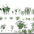 Various Kinds of Garden Flowers and Green Plants for Landscaping Design
