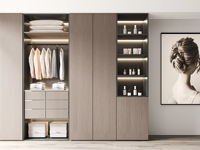Modern Wardrobe Interior With Hanging Clothes Drawers Storage Boxes And Lit Skincare Shelves 3d model