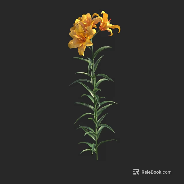 Vibrant Yellow Lilies With Green Stems And Fresh Leaves On Black Background 3d model 