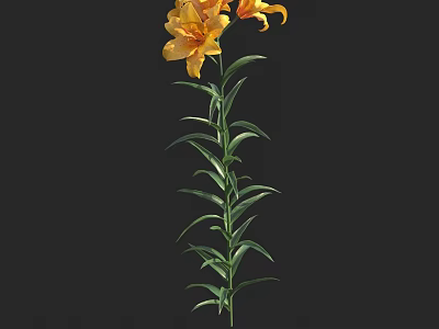 Vibrant Yellow Lilies With Green Stems And Fresh Leaves On Black Background 3d model