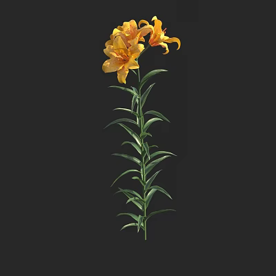 Vibrant Yellow Lilies With Green Stems And Fresh Leaves On Black Background 3d model
