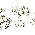Scattered Fall Leaves in Various Shapes and Colors on White Background