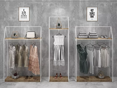Fashionable Women's Clothes On Hangers With Dresses Shirts Shoes And Wall Art 3d model