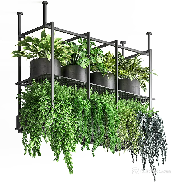 Multi Tiered Black Metal Shelves With Lush Green Potted Plants And Trailing Foliage 3d model 