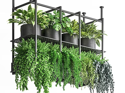 Multi Tiered Black Metal Shelves With Lush Green Potted Plants And Trailing Foliage 3d model