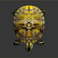 Turtle Cartoon Turtle Snapping Turtle Chickbill Turtle Reptile Cold Blooded Animal Reptile Class 3d model