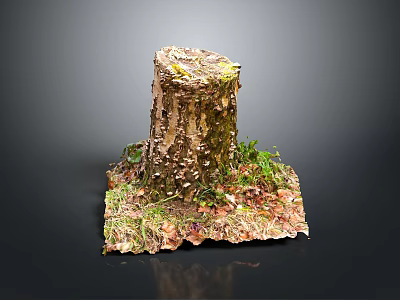 Tree Stump with Natural Bark Texture Surrounded by Green Grass and Fallen Leaves 3d model
