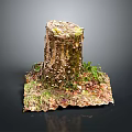 Tree Stump with Natural Bark Texture Surrounded by Green Grass and Fallen Leaves