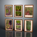 Six Wooden Framed Plant Photography Prints Arranged in Grid as Wall Art