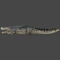 Realistic Crocodile Head Close Up Showing Open Mouth Sharp Teeth And Textured Skin