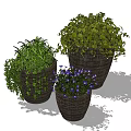 Bonsai Potted Plants with Green Vines and Purple Flowers in Woven Pots